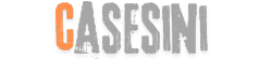 ORANGE CASESINI LOGO
